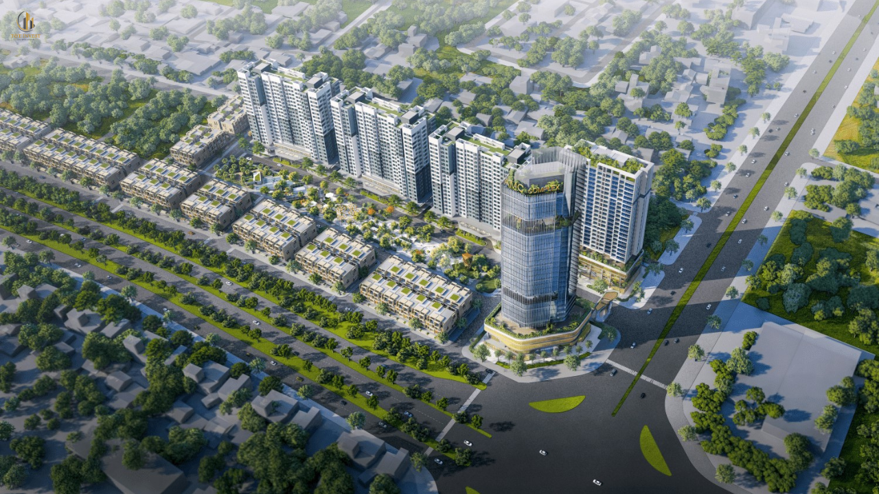 Stella City 6 5
